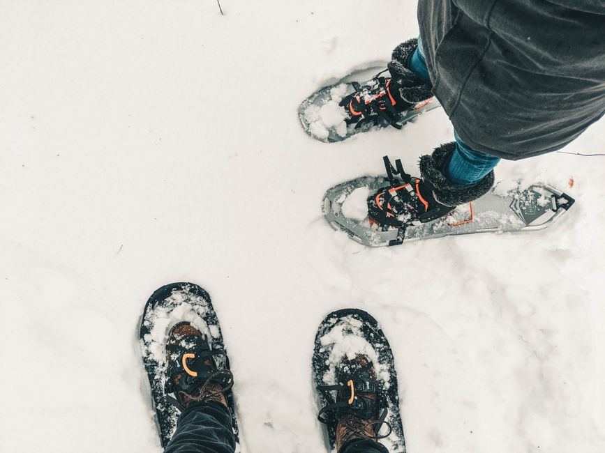 snowshoes for icy and hardpack trail conditions buying guide